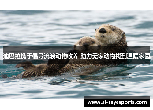 迪巴拉携手倡导流浪动物收养 助力无家动物找到温暖家园