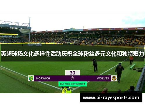 英超球场文化多样性活动庆祝全球粉丝多元文化和独特魅力 英超球场文化多样性活动庆祝全球粉丝多元文化和独特魅力