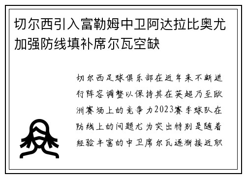切尔西引入富勒姆中卫阿达拉比奥尤加强防线填补席尔瓦空缺 切尔西引入富勒姆中卫阿达拉比奥尤加强防线填补席尔瓦空缺